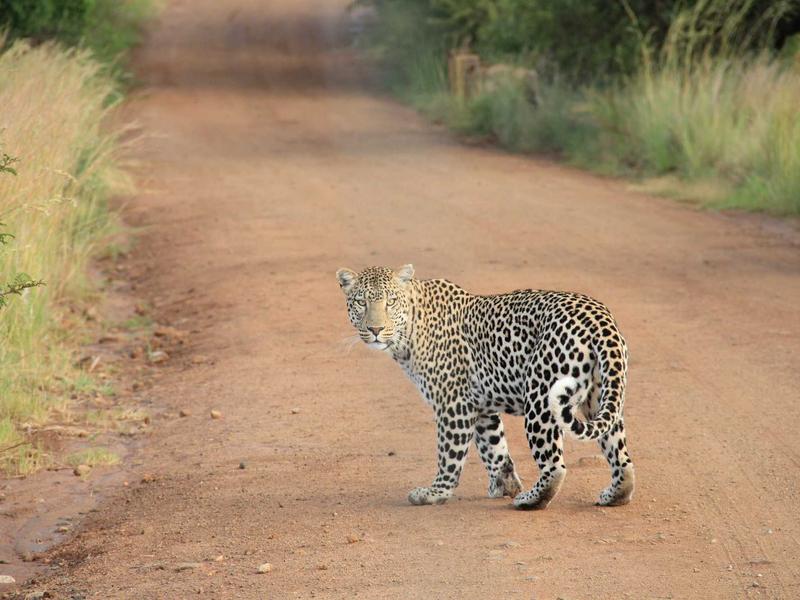 蝴蝶效应<br>qyo4ufag.cn 亚马逊蝴蝶扇翅